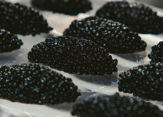 Repairing Caviar Collection
